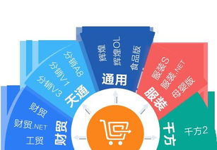 保定管家婆全渠道 您的專業(yè)管家婆服務與技術后盾