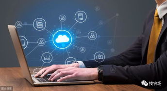 深度解讀 大數據在農業領域的具體應用有哪些